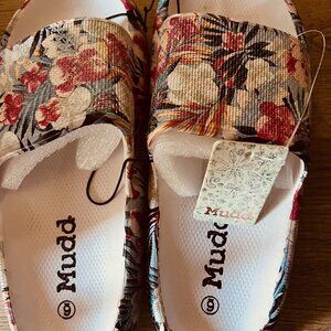 MUDD SLIDES